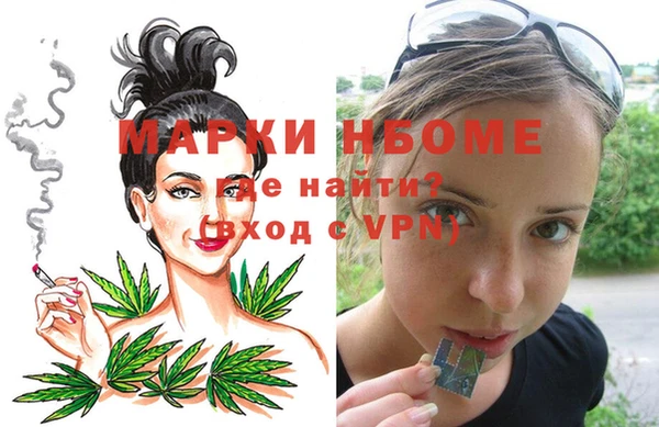 молекула духа Елабуга