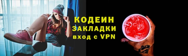 молекула духа Елабуга