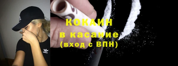 твердый Елизово