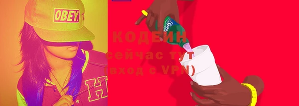 молекула духа Елабуга