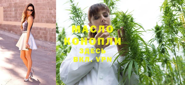 молекула духа Елабуга