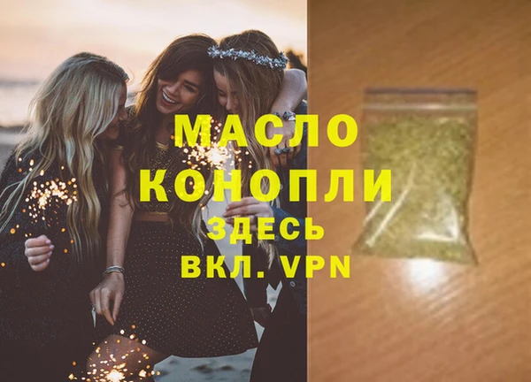 молекула духа Елабуга